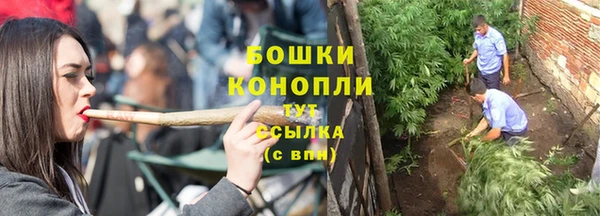 эйфоретик Рославль