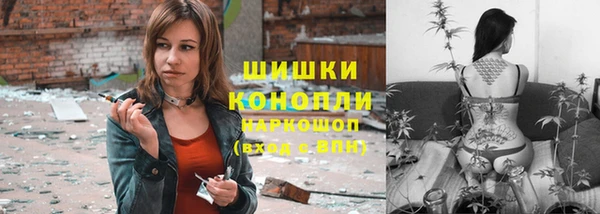 крисы Армянск
