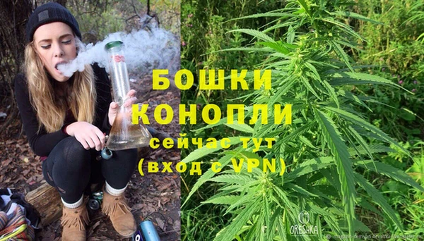 бошки Арсеньев
