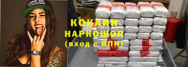 крисы Армянск