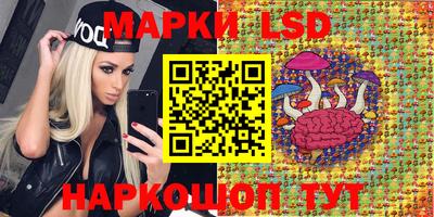 молекула духа Бердск