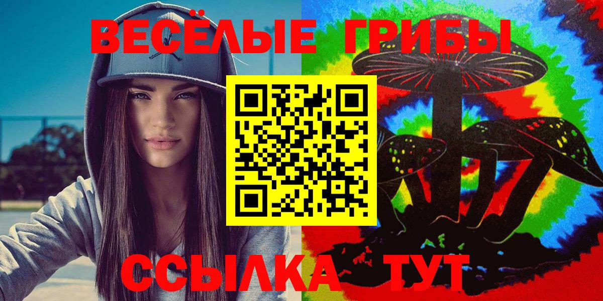Галлюциногенные грибы MAGIC MUSHROOMS  цены наркотик  Радужный  Вход с VPN 