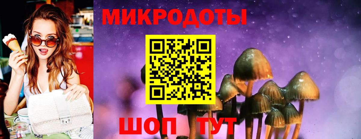 Галлюциногенные грибы мухоморы Радужный